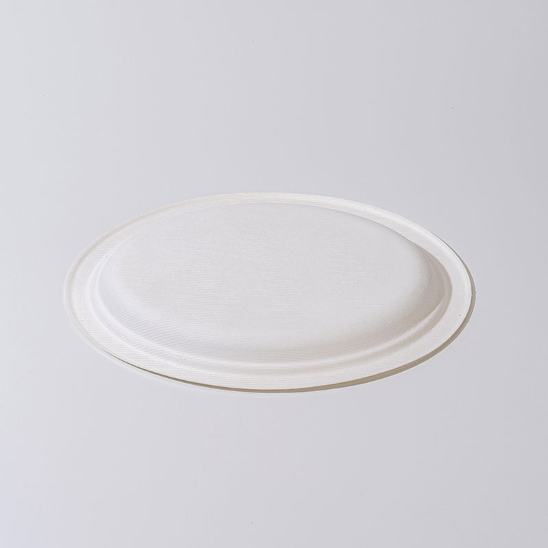 Combien de jours faut-il à une assiette ovale de pulpe de canne à sucre pour se décomposer ?
