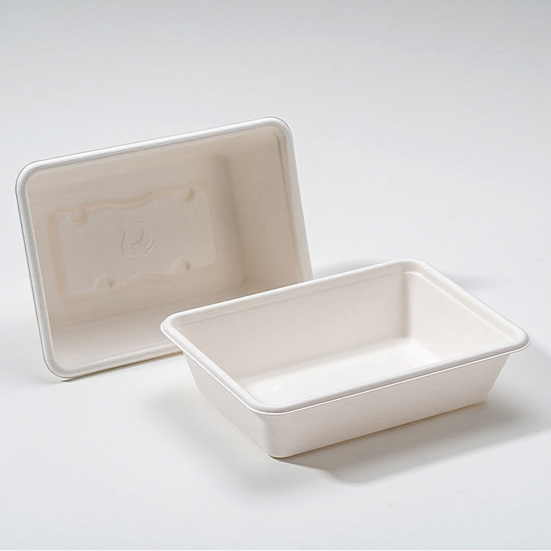 Bagasse carrée