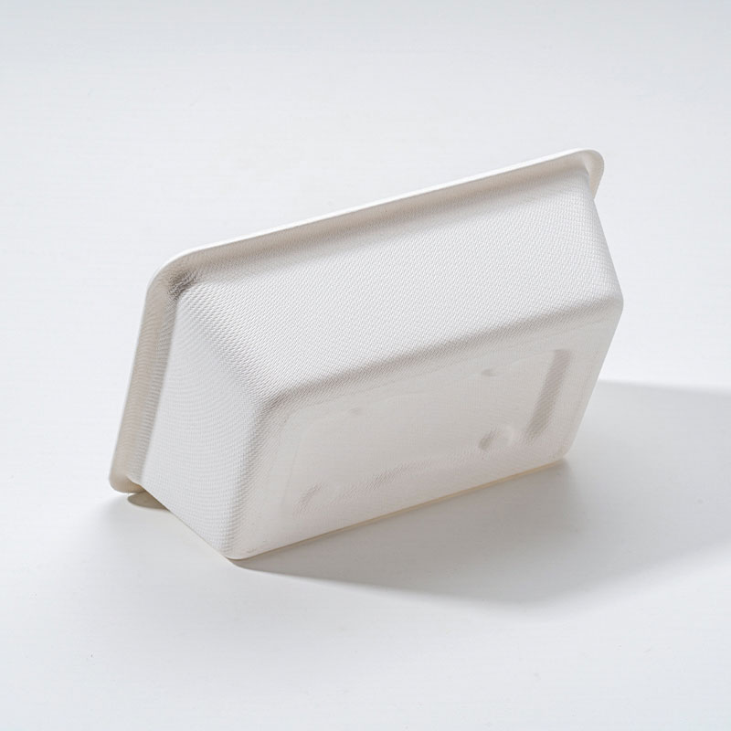 Bagasse Square Box